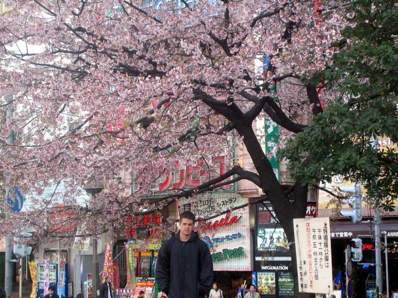 Me with some Sakura in Ueno Koen