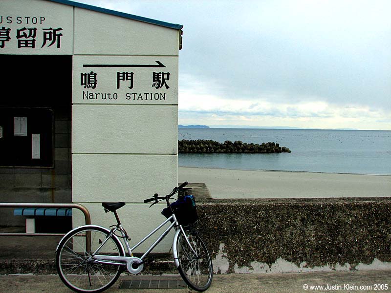 Deja Vu. Check out the picture of this exact same spot in my August 18th post.