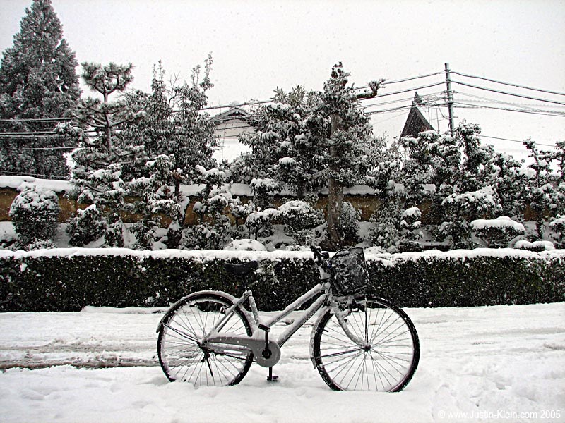 My trusty steed standing up to the elements at Taizoin.