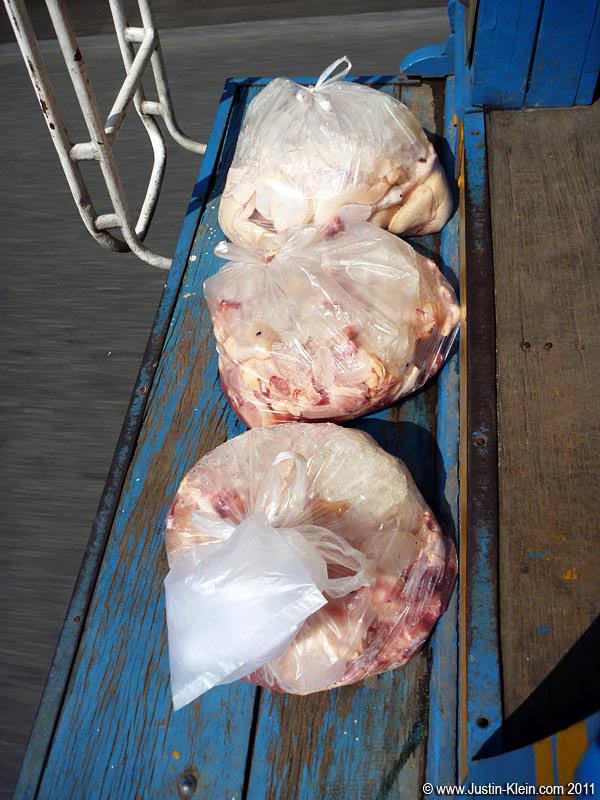 Yum. Three bags of entrails along for the ride.
